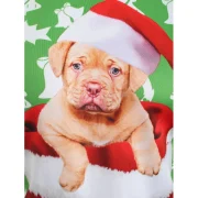 Christmas Puppy Print Pouch Pocket Hoodie - Clover Green Fansmadedirect