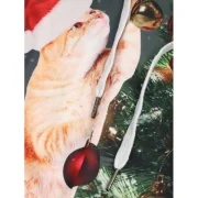 Christmas Tree Cat Print Drawstring Hoodie - Dark Forest Green Fansmadedirect