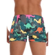 Dinosaur Pattern Swim Trunks - Fansmadedirect