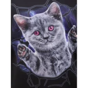 Halloween Cold houlder 3D Cat Print T-shirt - Black Fansmadedirect