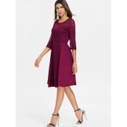 Lace Panel Flared Dress - Red Wine Fansmadedirect