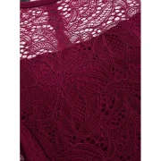 Lace Panel Flared Dress - Red Wine Fansmadedirect