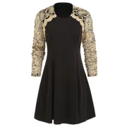 Lace Panel Round Collar A Line Dress - Black Fansmadedirect