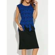 Sleeveless Lace Applique Fitted Dress - Blue Fansmadedirect