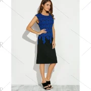 Sleeveless Lace Applique Fitted Dress - Blue Fansmadedirect